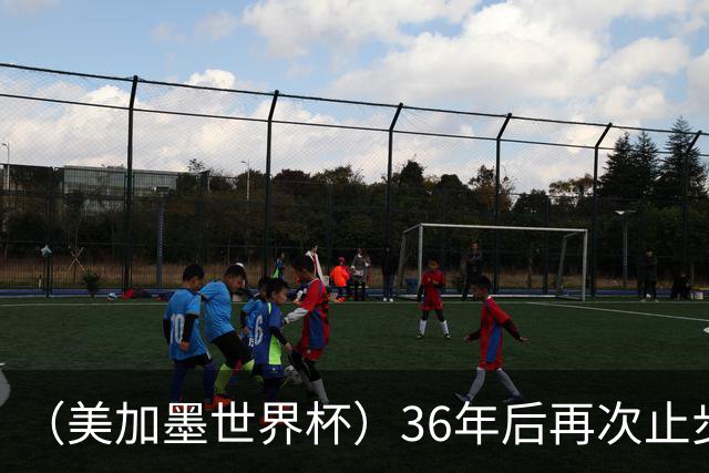 （美加墨世界杯）36年后再次止步16强 巴西距“六星之梦”仍遥远